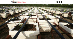 Desktop Screenshot of mirakgroup.com