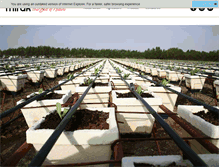 Tablet Screenshot of mirakgroup.com